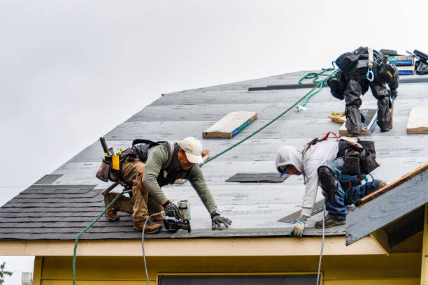 Professional Gutter Installation technician working in Le Mars, IA